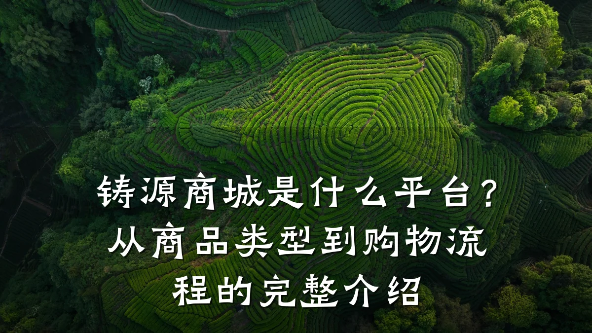 铸源商城是什么平台?从商品类型到购物流程的完整介绍