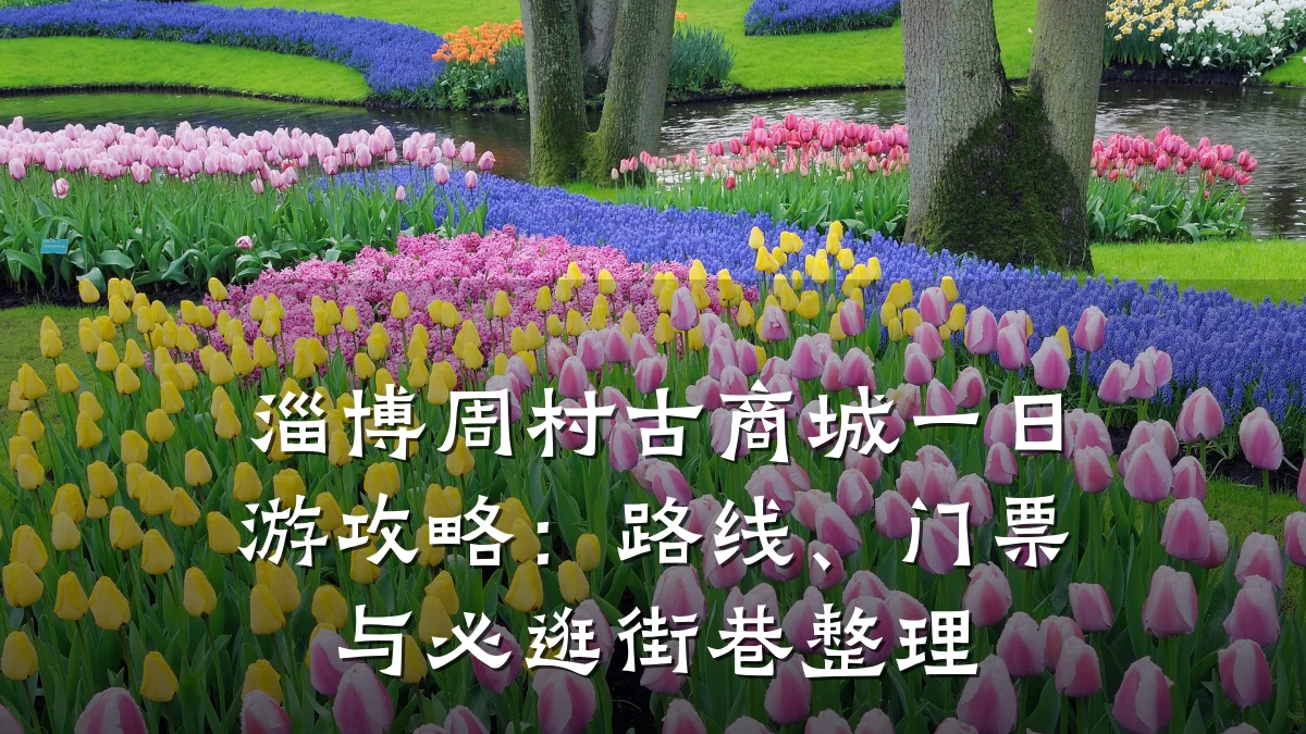 淄博周村古商城一日游攻略:路线、门票与必逛街巷整理