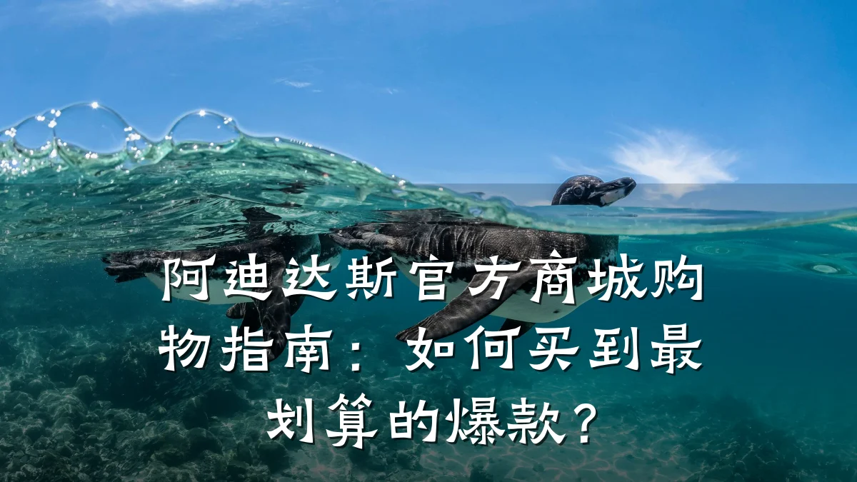 阿迪达斯官方商城购物指南:如何买到最划算的爆款?