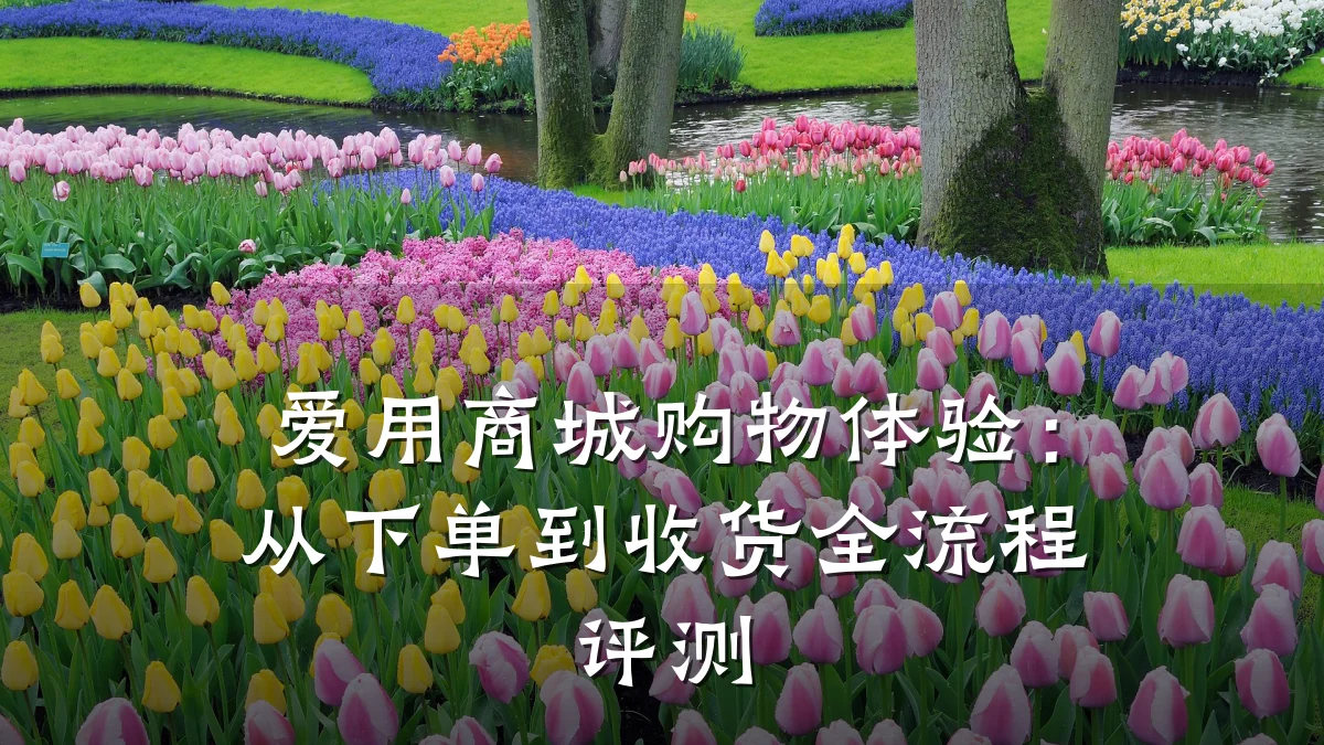 爱用商城购物体验:从下单到收货全流程评测