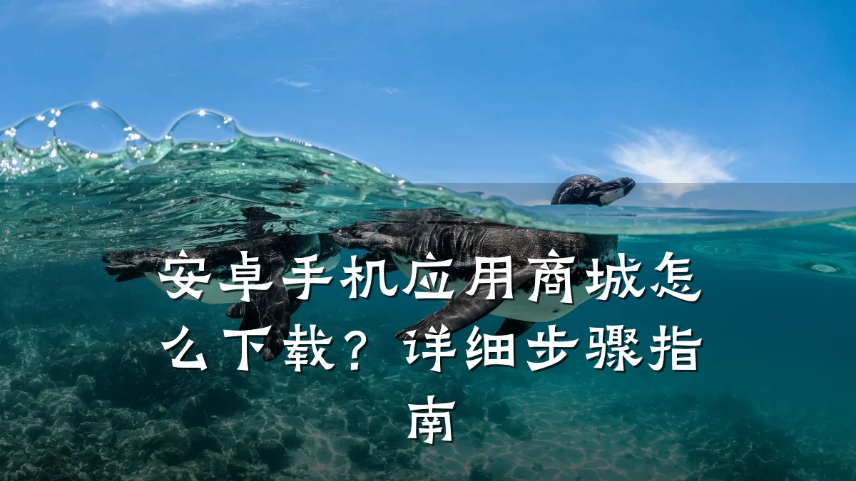 安卓手机应用商城怎么下载?详细步骤指南