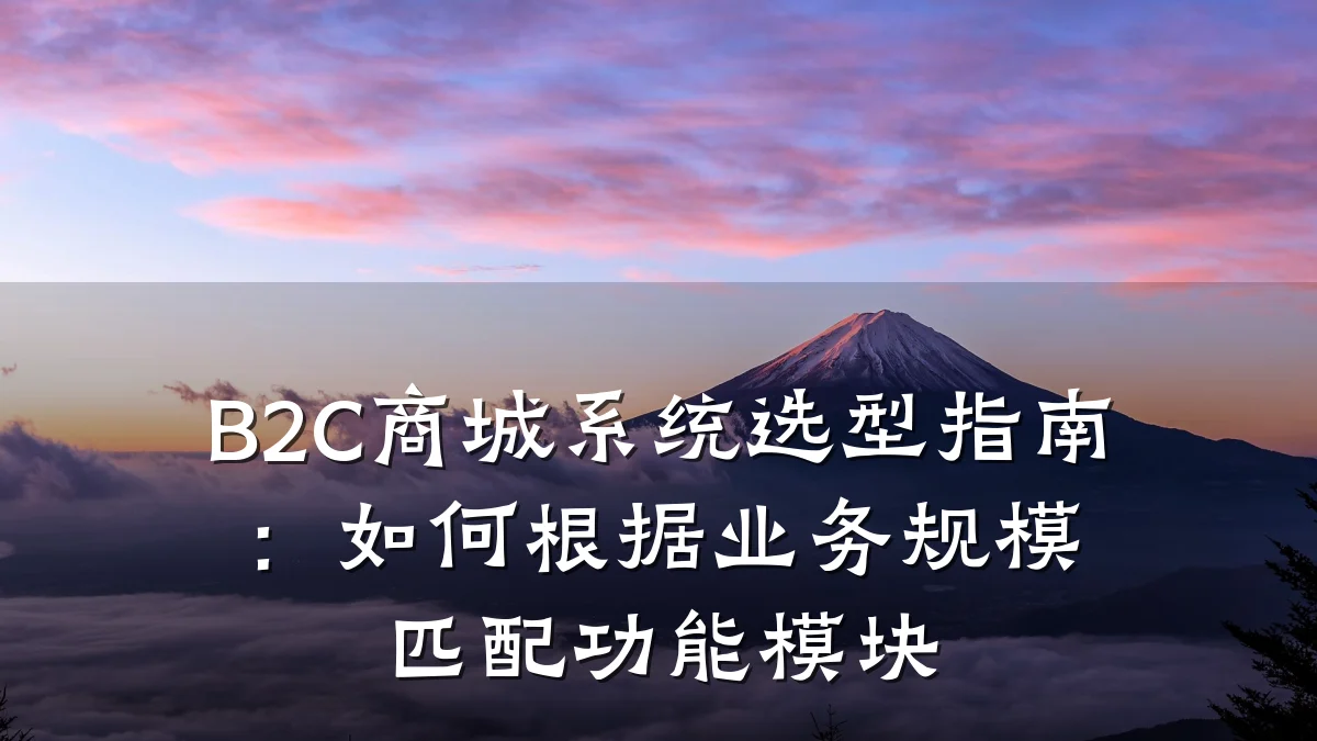 B2C商城系统选型指南:如何根据业务规模匹配功能模块