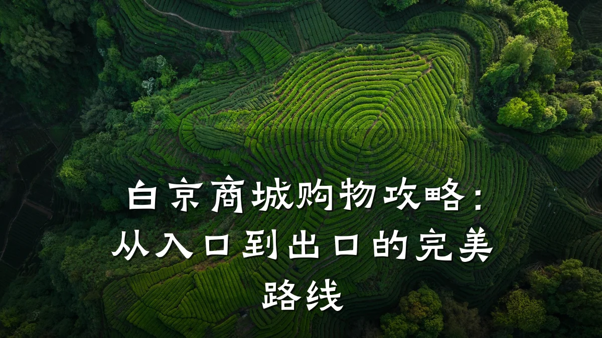白京商城购物攻略:从入口到出口的完美路线