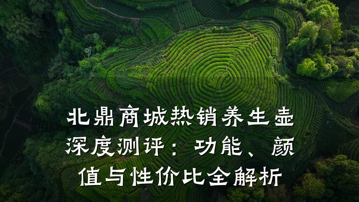 北鼎商城热销养生壶深度测评:功能、颜值与性价比全解析