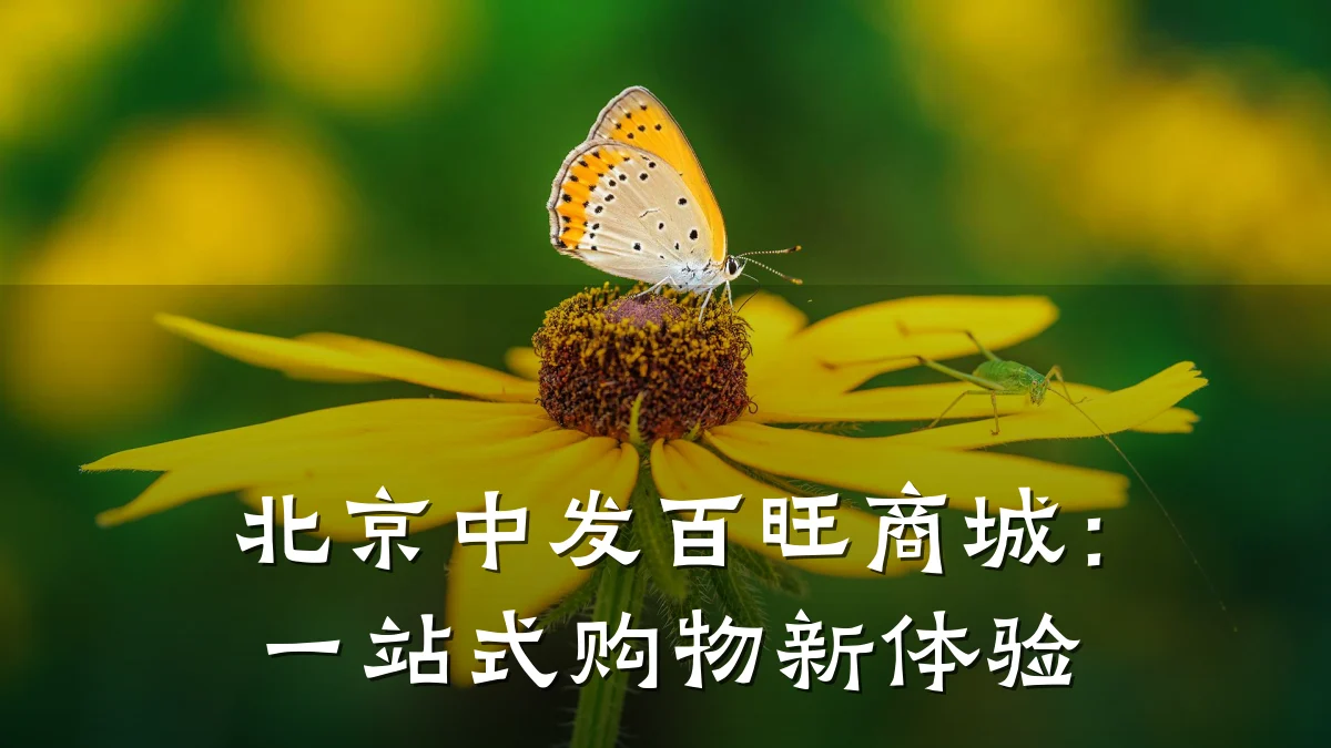 北京中发百旺商城：一站式购物新体验