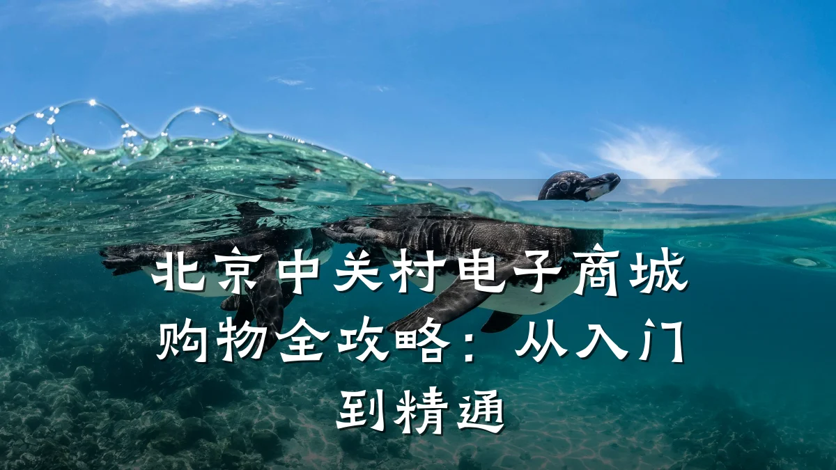 北京中关村电子商城购物全攻略:从入门到精通