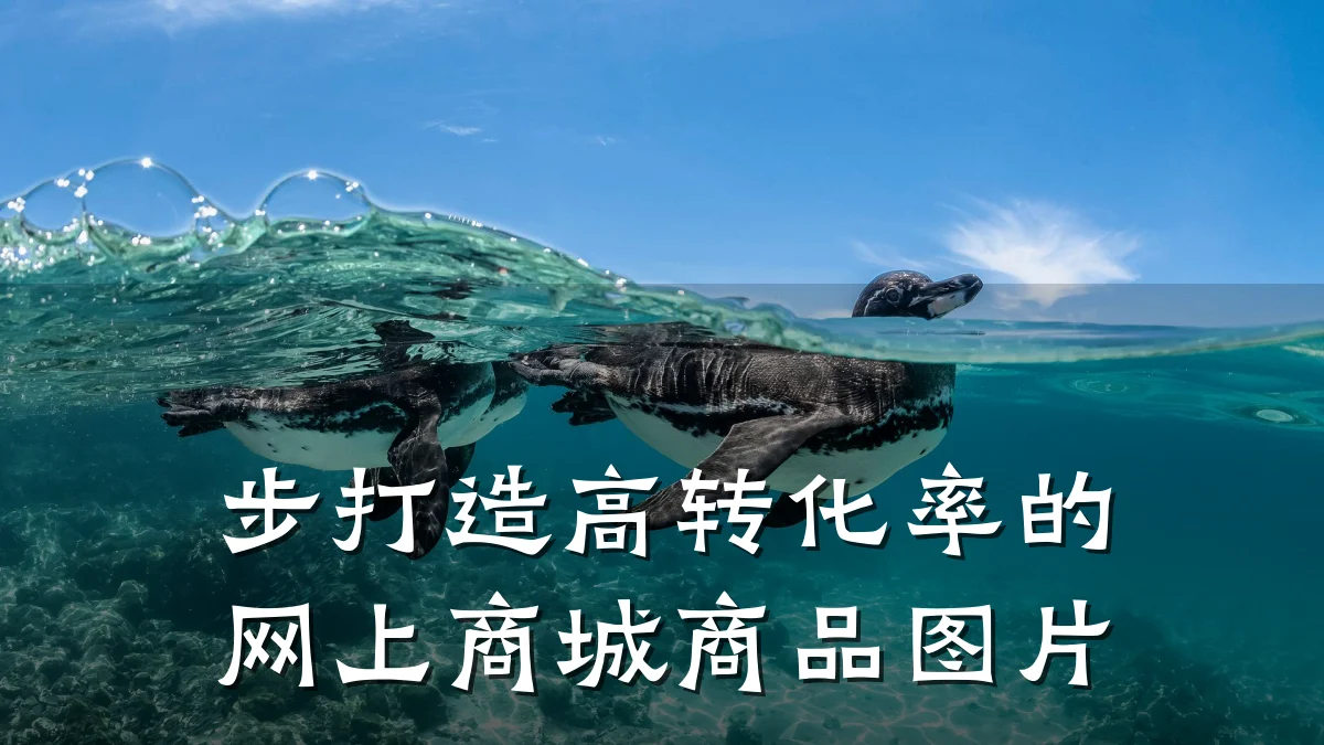 步打造高转化率的网上商城商品图片