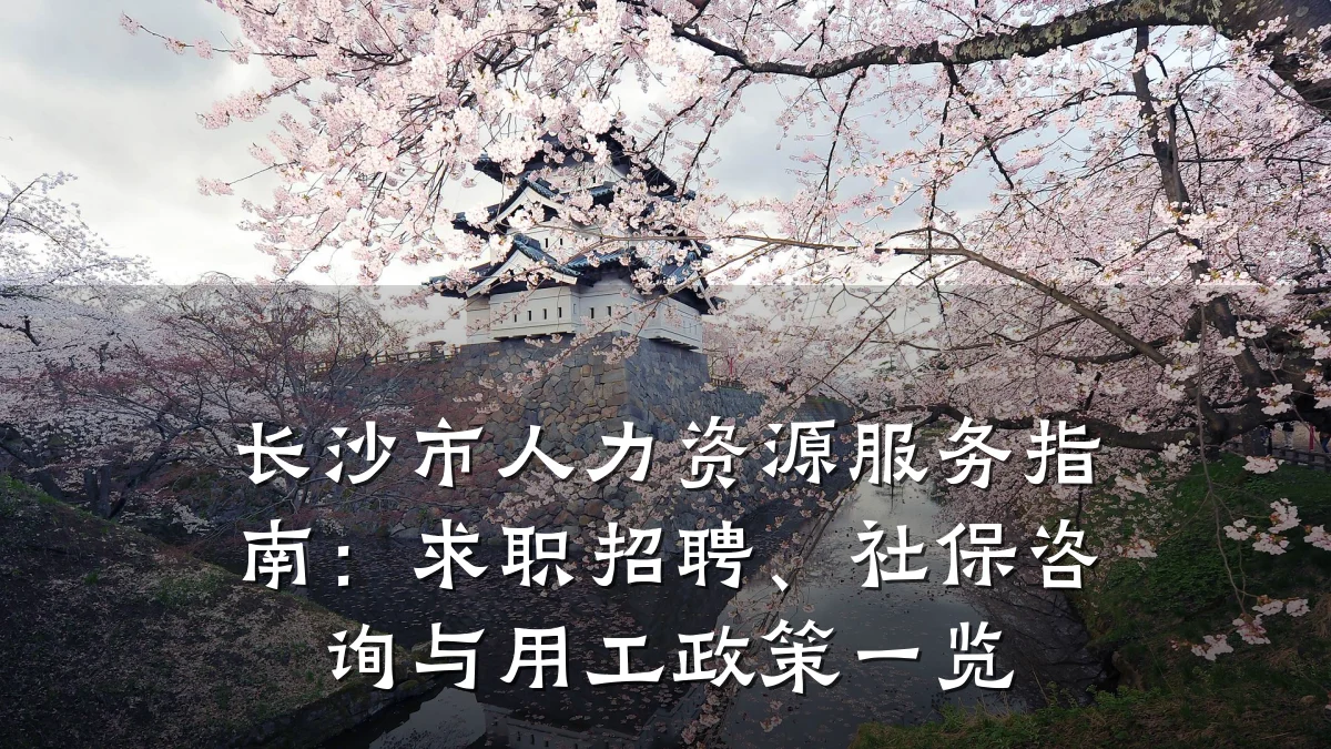 长沙市人力资源服务指南:求职招聘、社保咨询与用工政策一览