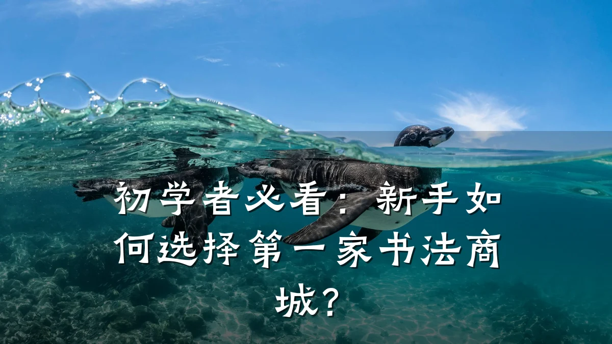 初学者必看:新手如何选择第一家书法商城?