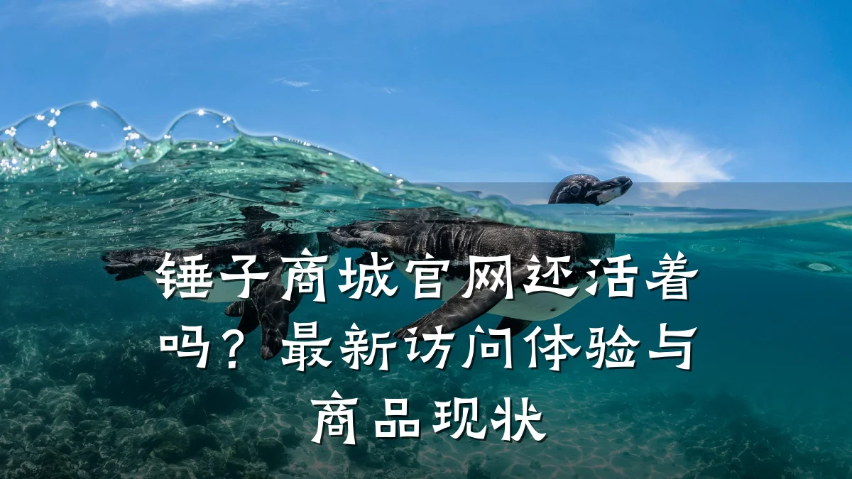 锤子商城官网还活着吗?最新访问体验与商品现状