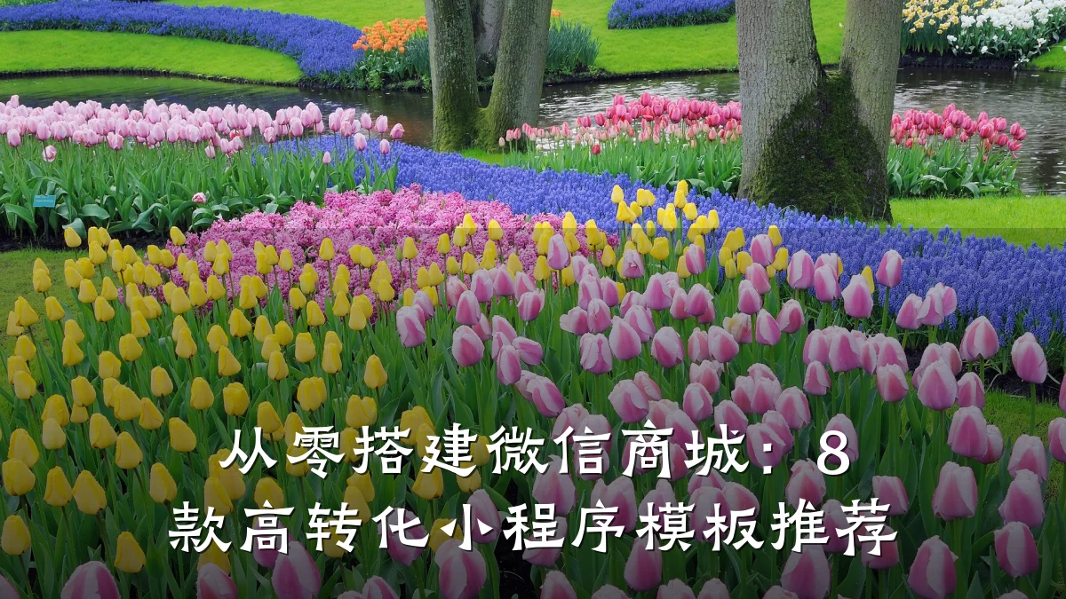 从零搭建微信商城：8 款高转化小程序模板推荐