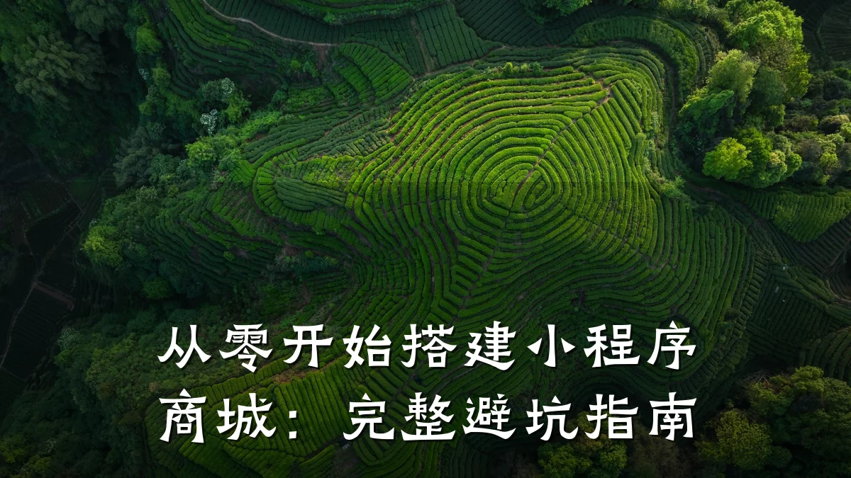 从零开始搭建小程序商城：完整避坑指南