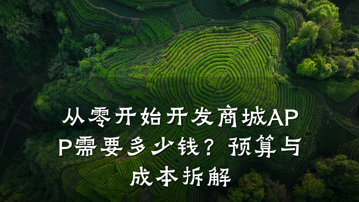 从零开始开发商城APP需要多少钱?预算与成本拆解
