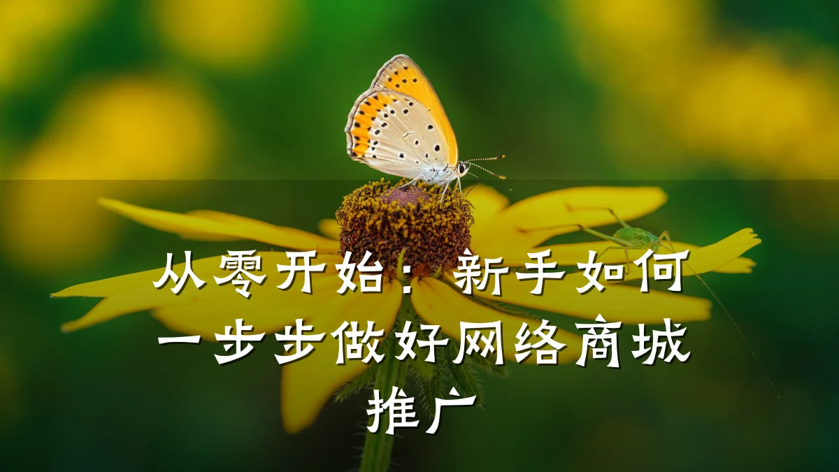 从零开始：新手如何一步步做好网络商城推广