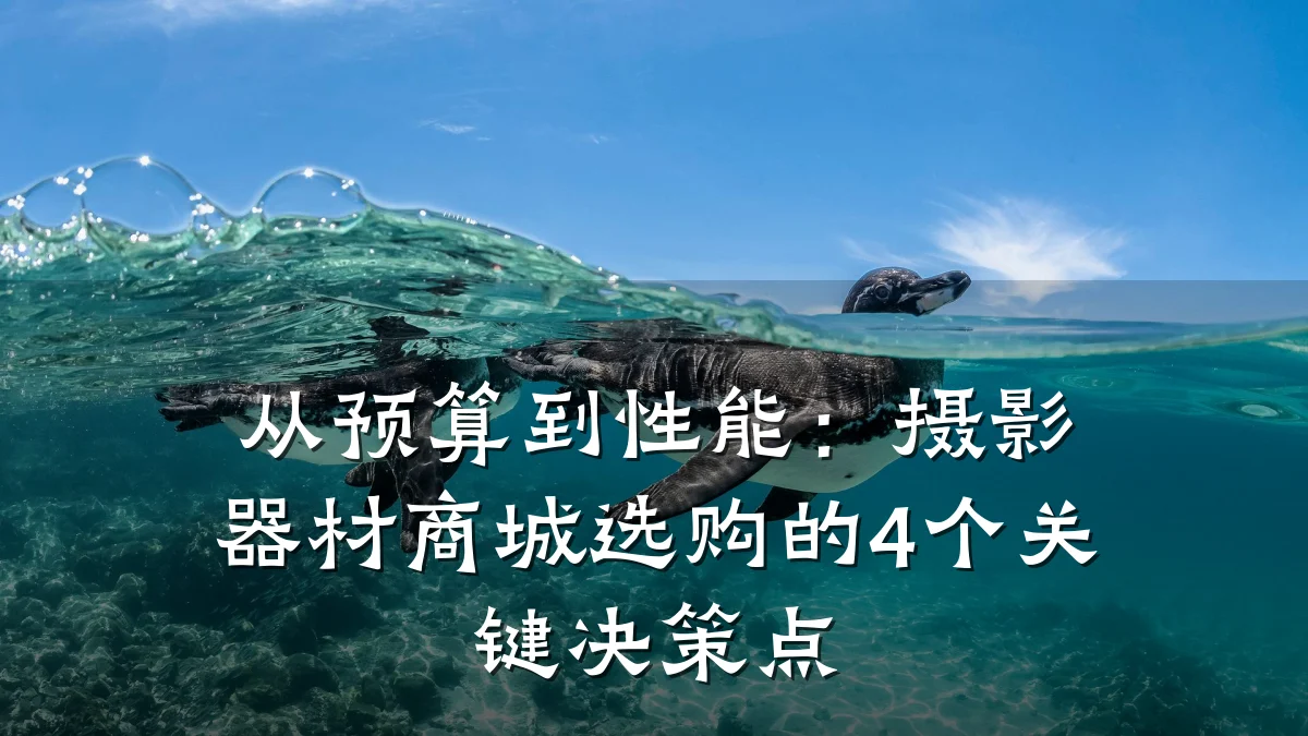 从预算到性能：摄影器材商城选购的4个关键决策点