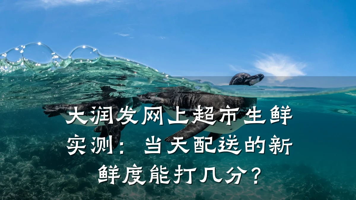 大润发网上超市生鲜实测:当天配送的新鲜度能打几分?