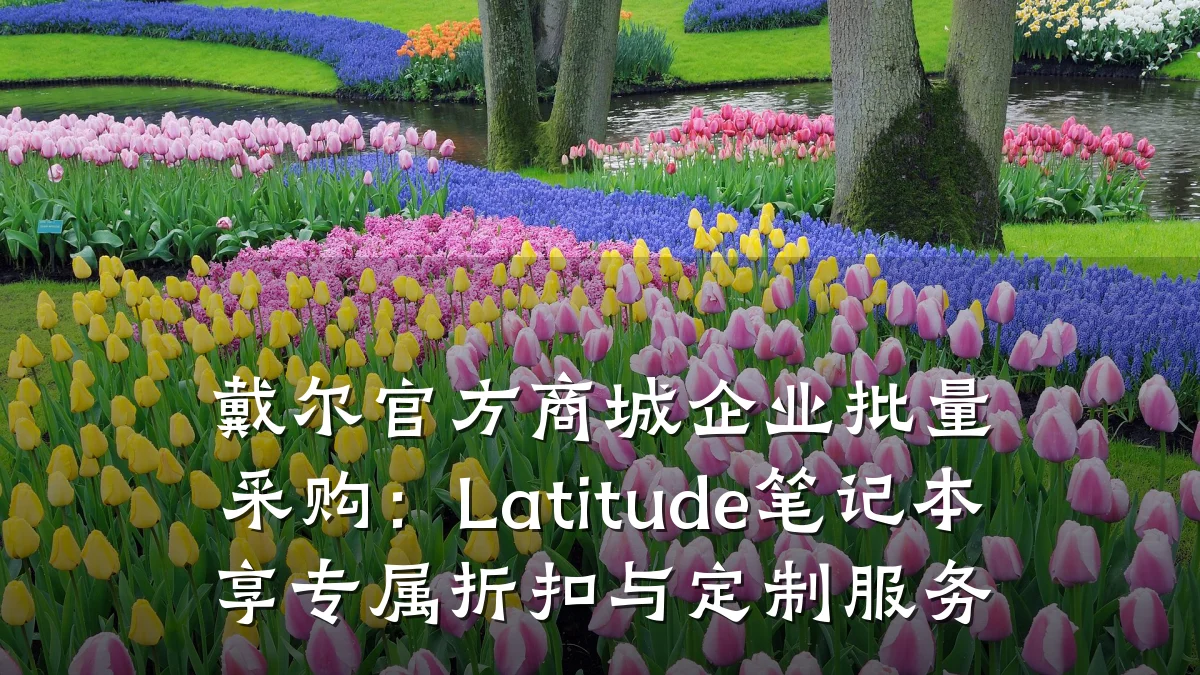 戴尔官方商城企业批量采购:Latitude笔记本享专属折扣与定制服务