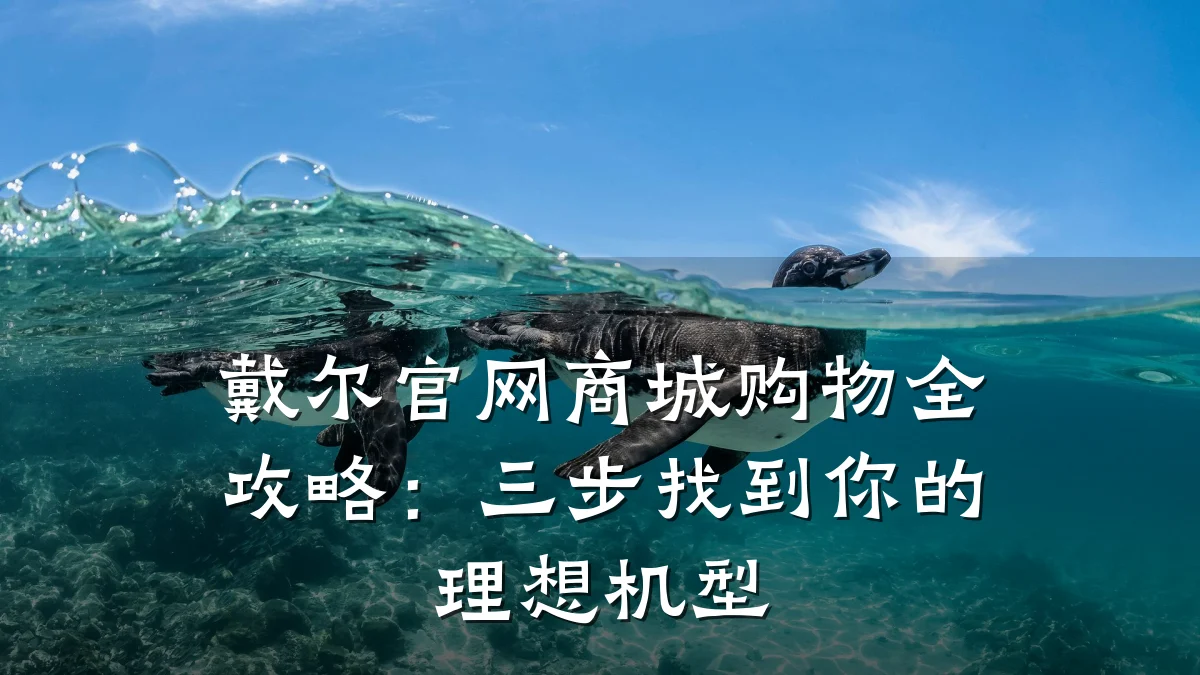 戴尔官网商城购物全攻略：三步找到你的理想机型