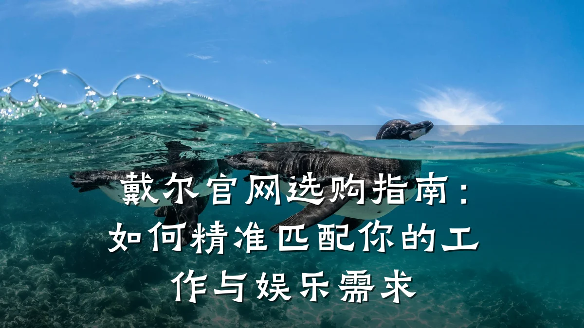 戴尔官网选购指南:如何精准匹配你的工作与娱乐需求