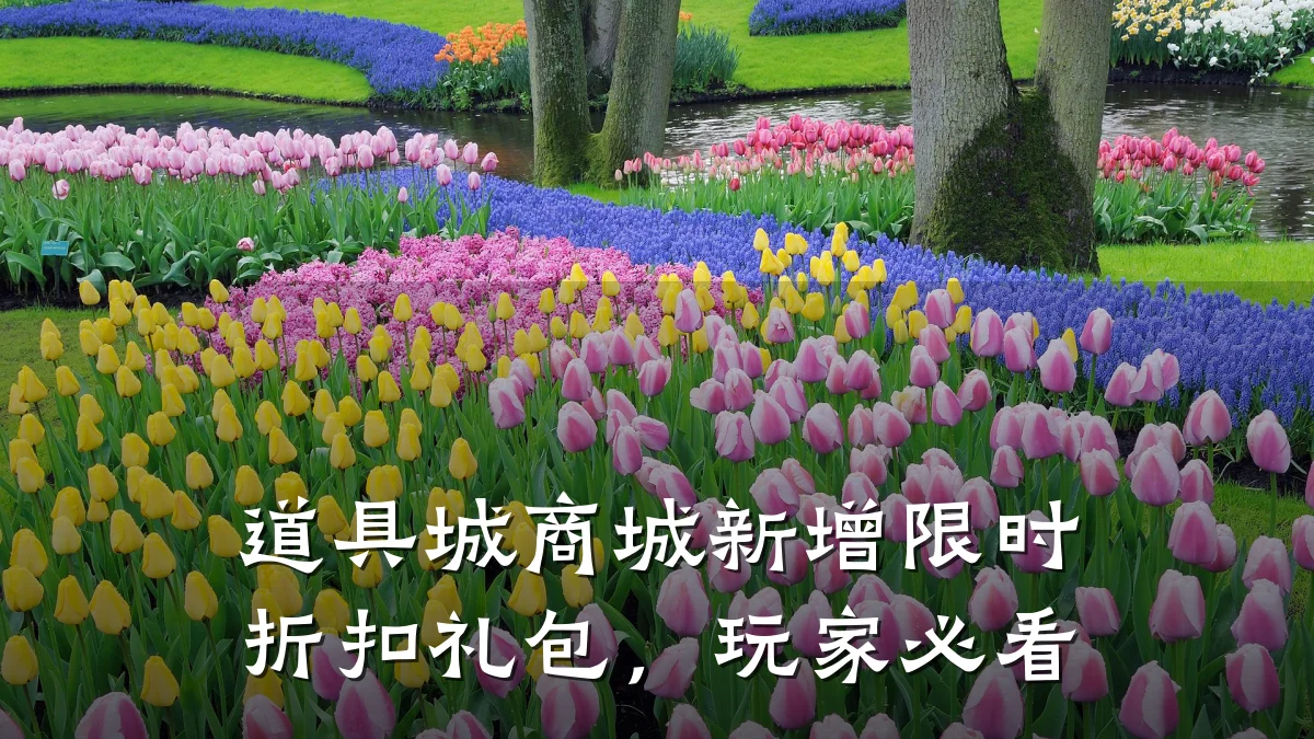道具城商城新增限时折扣礼包,玩家必看