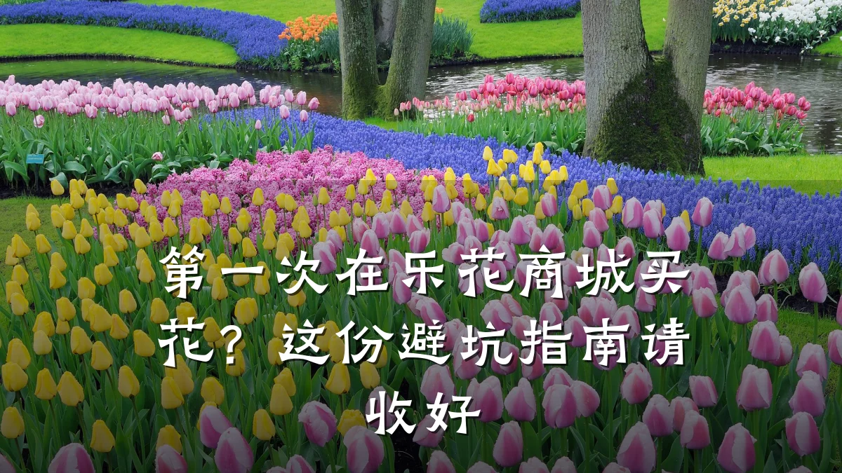 第一次在乐花商城买花?这份避坑指南请收好
