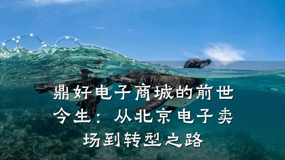 鼎好电子商城的前世今生:从北京电子卖场到转型之路