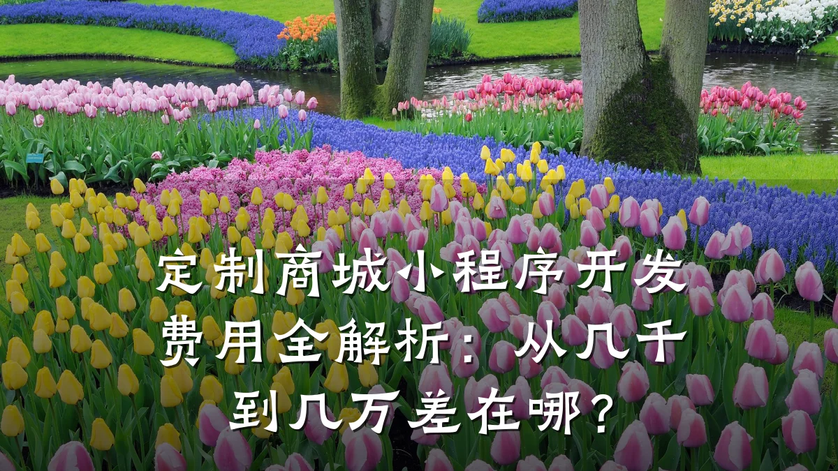 定制商城小程序开发费用全解析:从几千到几万差在哪?