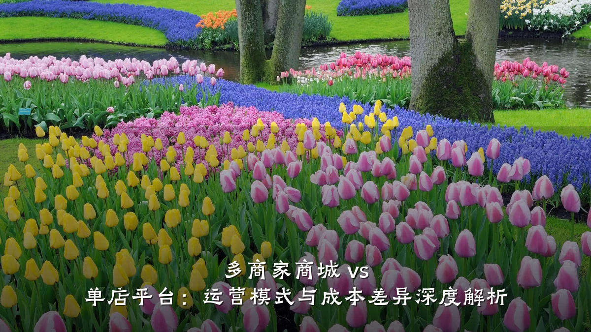 多商家商城 vs 单店平台:运营模式与成本差异深度解析