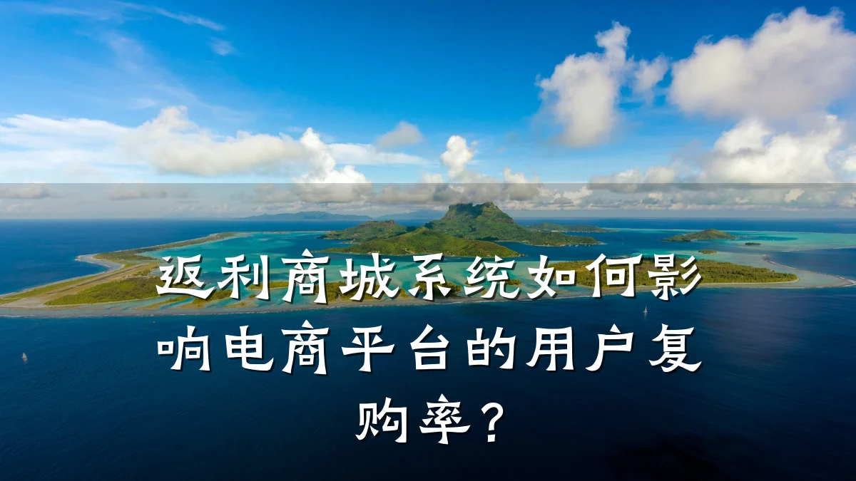 返利商城系统如何影响电商平台的用户复购率?