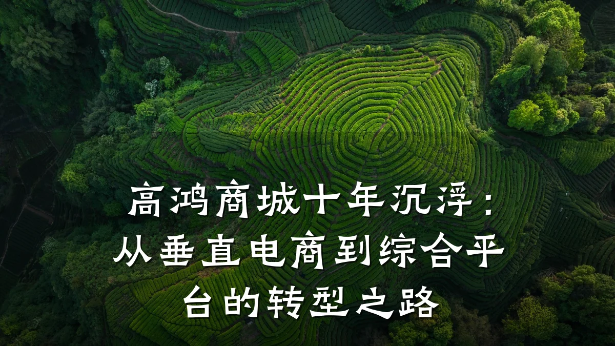 高鸿商城十年沉浮:从垂直电商到综合平台的转型之路