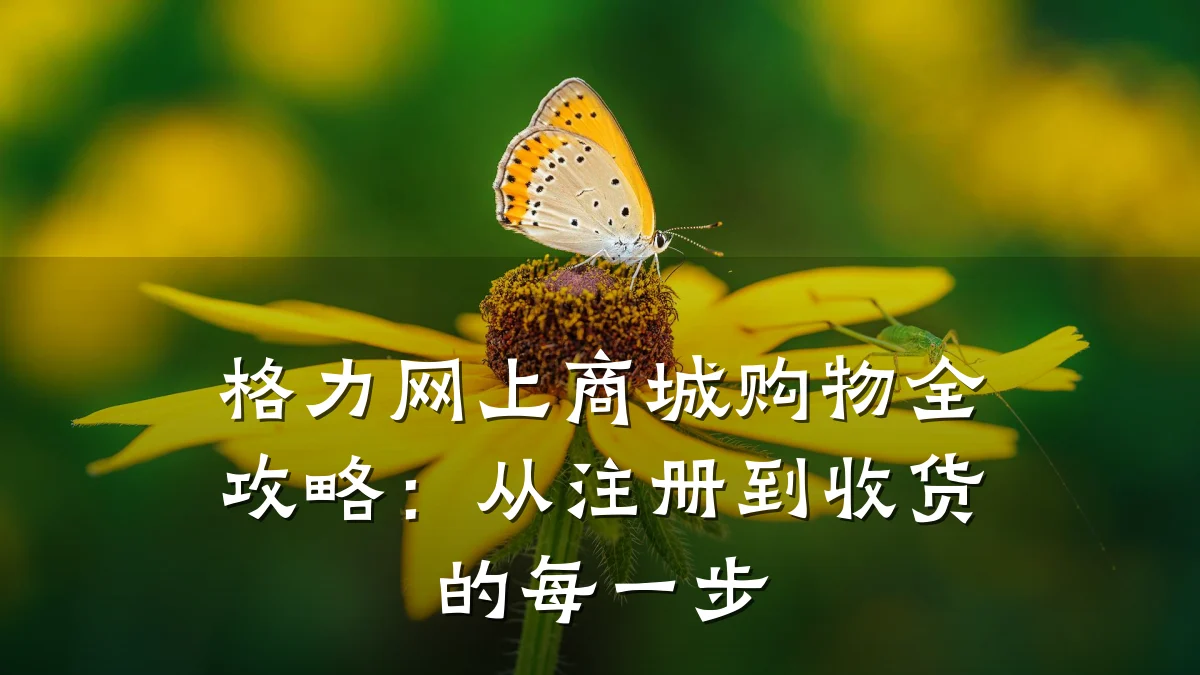 格力网上商城购物全攻略:从注册到收货的每一步