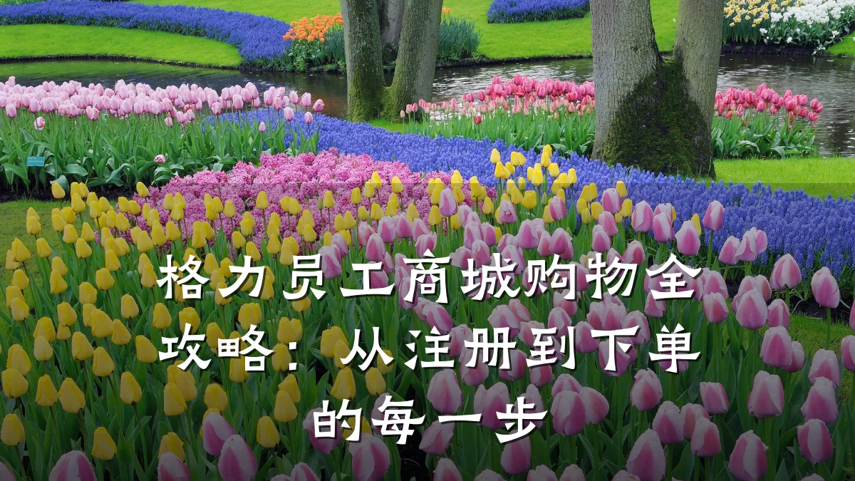 格力员工商城购物全攻略:从注册到下单的每一步