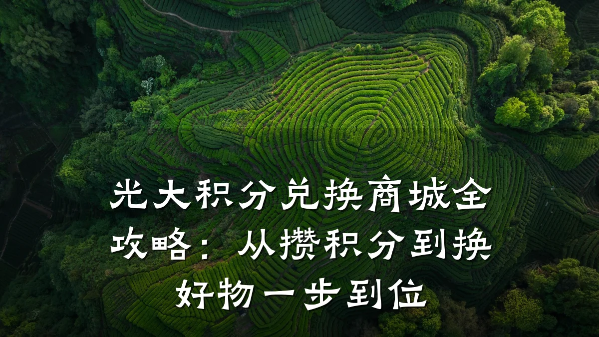 光大积分兑换商城全攻略：从攒积分到换好物一步到位