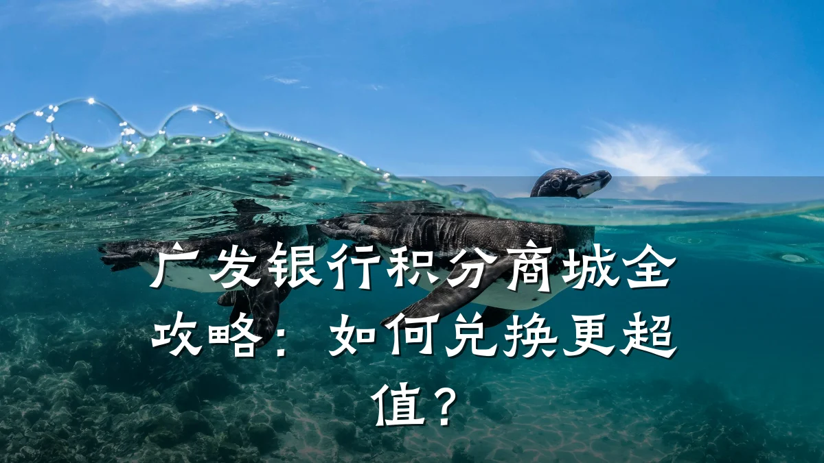 广发银行积分商城全攻略:如何兑换更超值?
