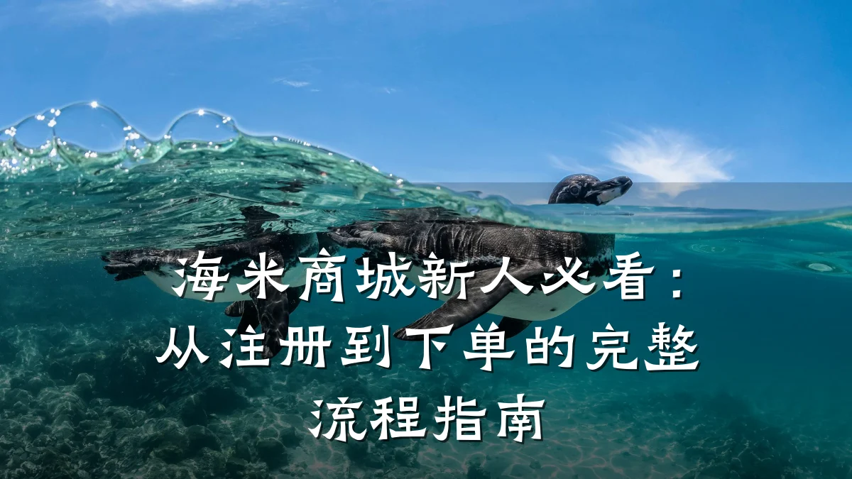 海米商城新人必看:从注册到下单的完整流程指南