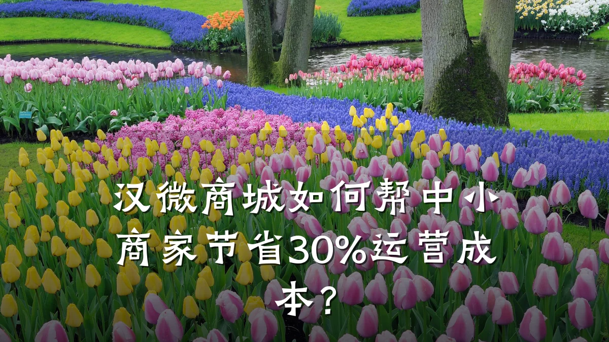 汉微商城如何帮中小商家节省30%运营成本?