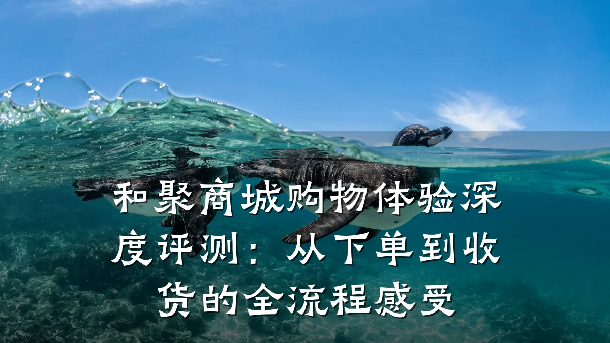 和聚商城购物体验深度评测：从下单到收货的全流程感受