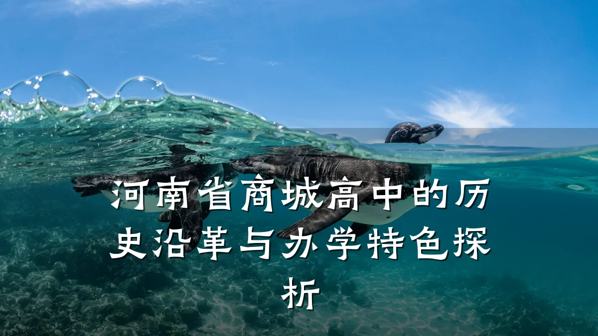 河南省商城高中的历史沿革与办学特色探析