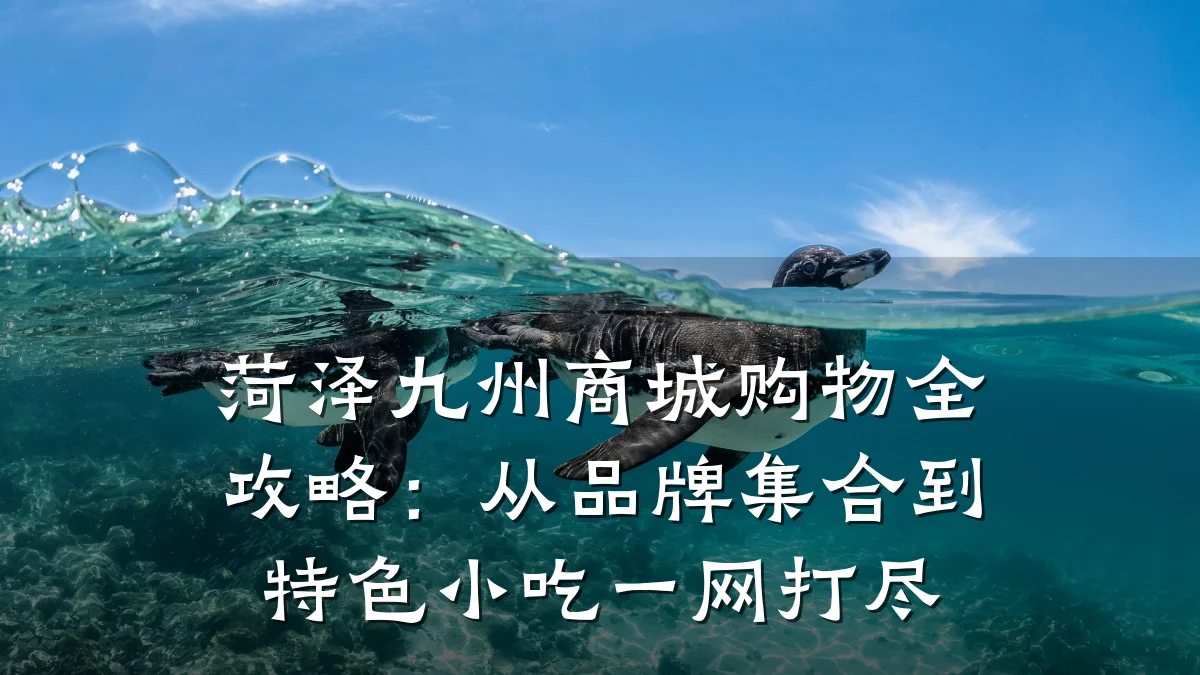 菏泽九州商城购物全攻略:从品牌集合到特色小吃一网打尽
