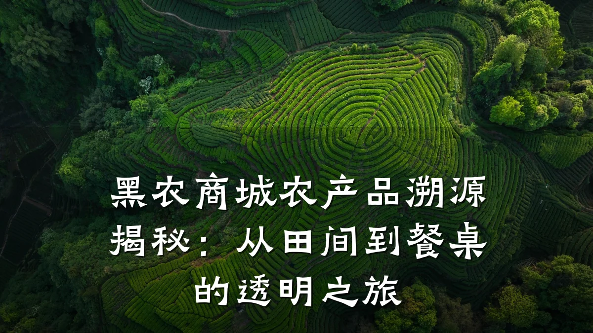 黑农商城农产品溯源揭秘:从田间到餐桌的透明之旅