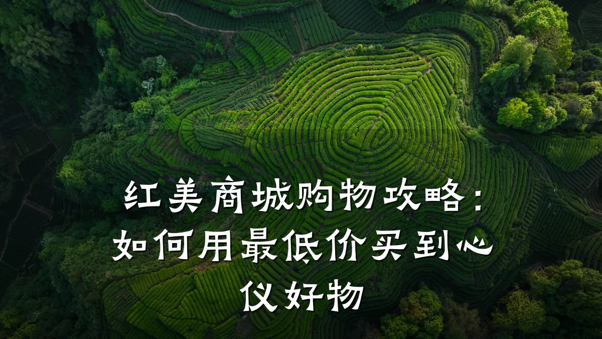 红美商城购物攻略:如何用最低价买到心仪好物