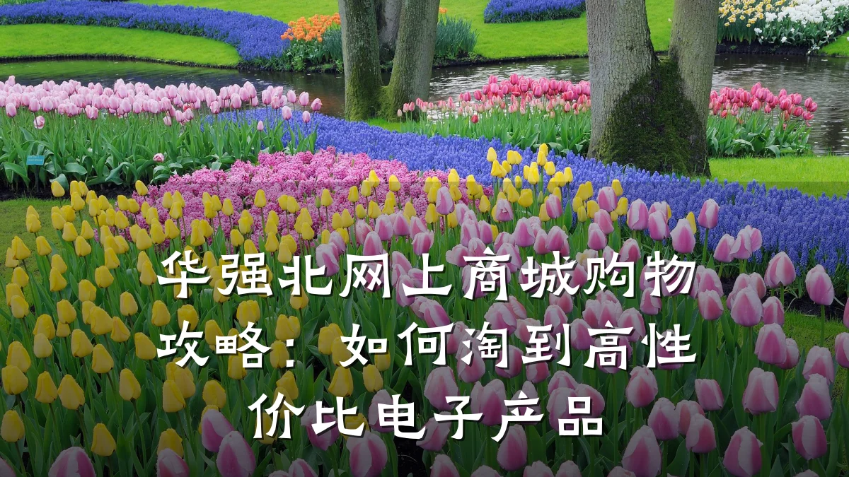 华强北网上商城购物攻略:如何淘到高性价比电子产品