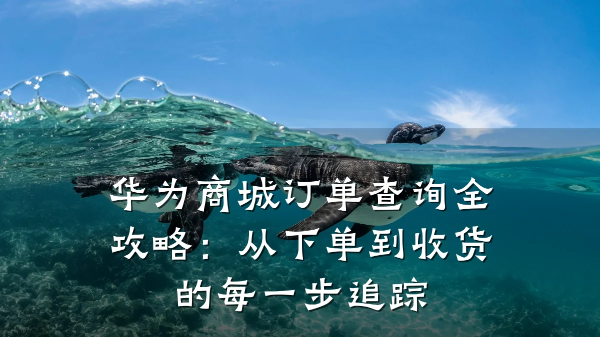 华为商城订单查询全攻略:从下单到收货的每一步追踪