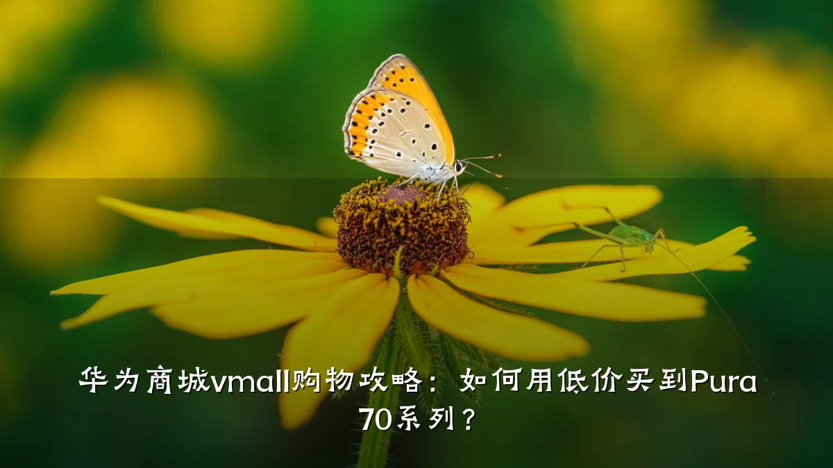 华为商城vmall购物攻略:如何用低价买到Pura 70系列?