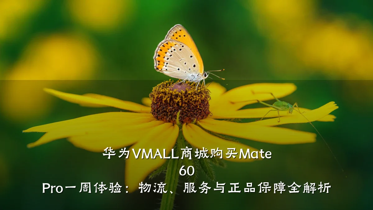 华为VMALL商城购买Mate 60 Pro一周体验:物流、服务与正品保障全解析