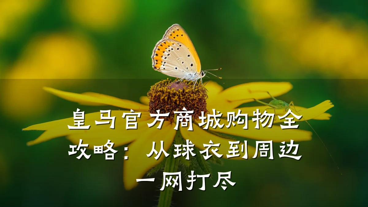 皇马官方商城购物全攻略:从球衣到周边一网打尽