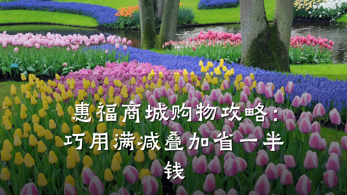 惠福商城购物攻略:巧用满减叠加省一半钱