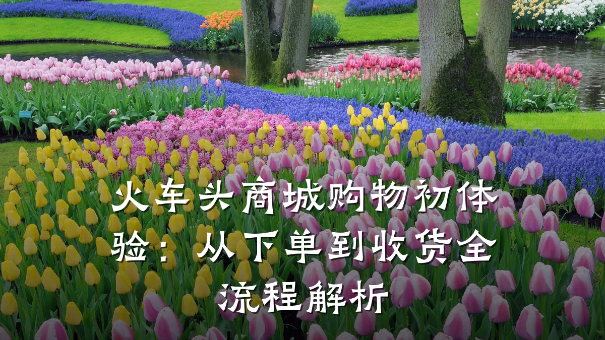 火车头商城购物初体验:从下单到收货全流程解析