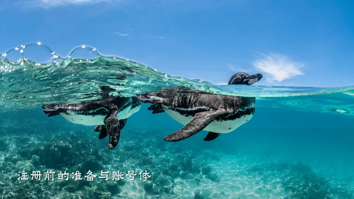 注册前的准备与账号体