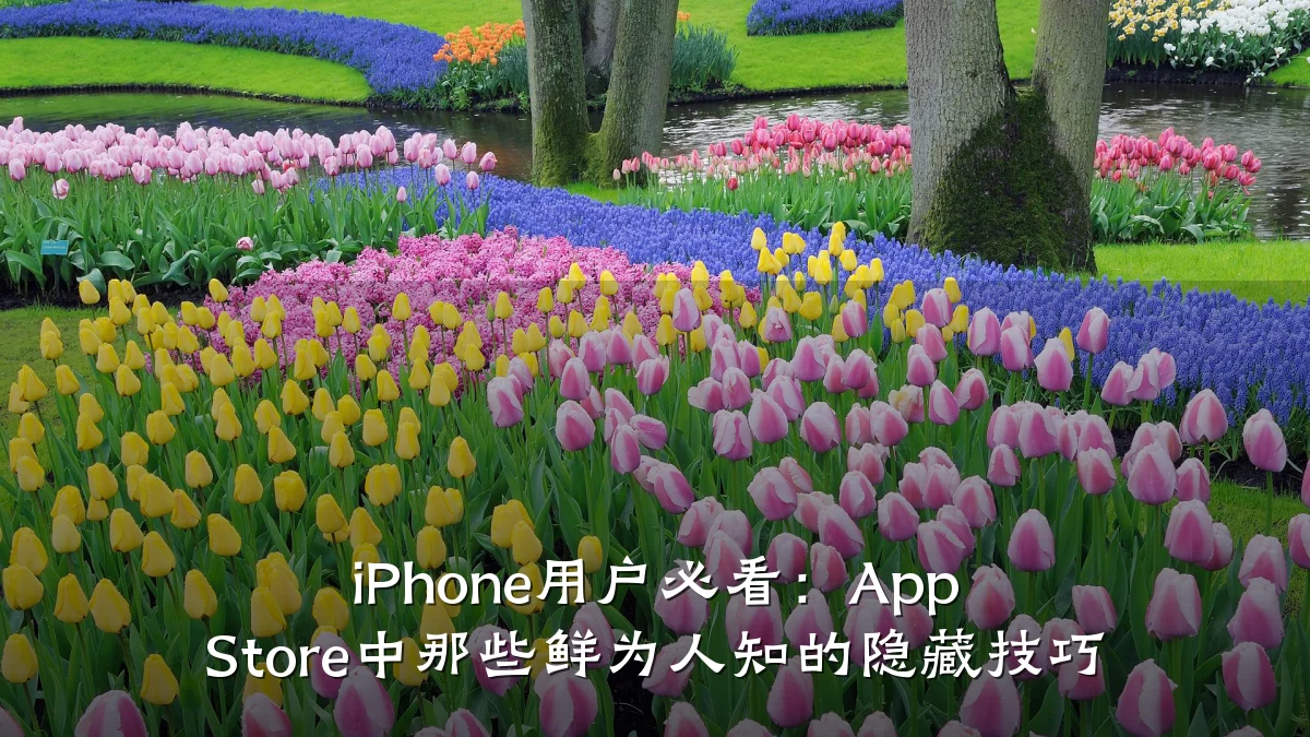 iPhone用户必看:App Store中那些鲜为人知的隐藏技巧